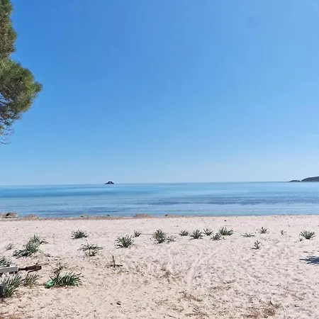 Hébergement de vacances Maison Pinarello à 200 Mètres De La Zonza